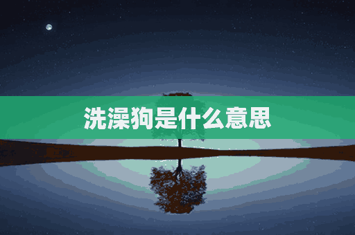 洗澡狗是什么意思(uzi洗澡狗是什么意思)